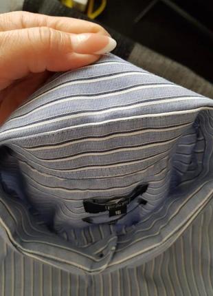 Брендова топова базова блакитна бавовняна синя смугаста сорочка в смужку f&amp;f l