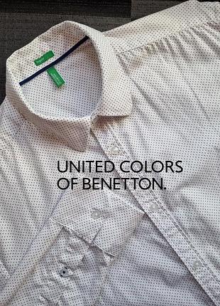 Брендова топова базова біла чоловіча бавовняна сорочка в горошок горох м m benetton
