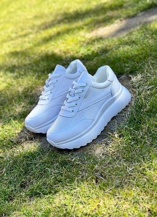 Жіночі кросівки натуральна шкіра