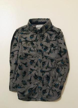 Стильна сорочка в динозаври