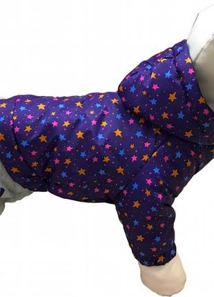 Одежда для собак эксклюзивная модель костюм с отстежными штанами