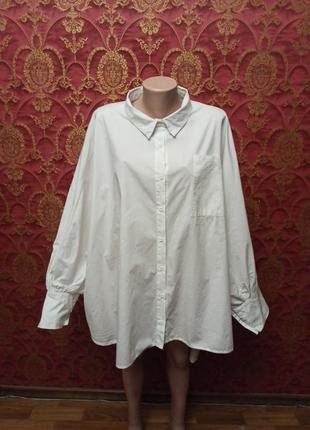 Белая шикарная рубашка большого размера батал 181 фото