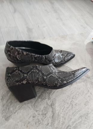 Казаки бренда zara