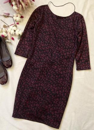 Сукня трикотажна zara