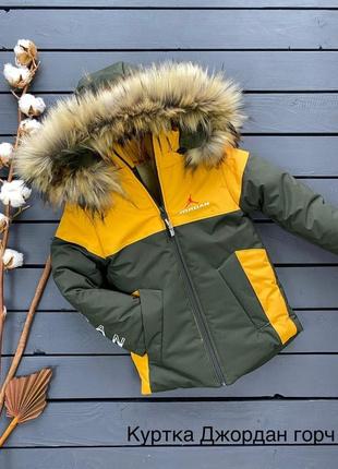 Куртка зимняя с удлиненной спинкой