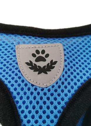 Шлейка для собак с поводком 12061 s голубая4 фото