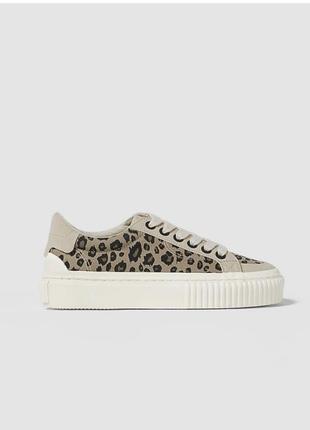 Кеди zara
