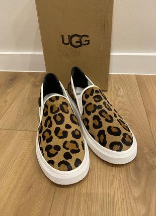 Ugg слипоны женские леопард3 фото