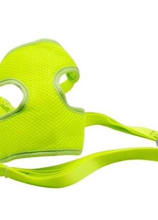 Комплект майка-сітка та повідець (26-60/90 см) салатова