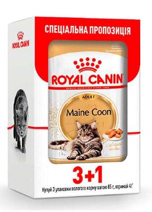 Maine coon adult консервований корм для дорослих кішок породи мейн-кун (кусочки в соусі) — акція! 3+1 шт.