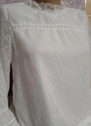Блуза белая женская размер s,xs,m.2 фото