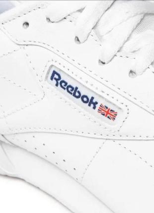 Кросівки  exofit lo clean logo int ar3169 int white/royal blue3 фото