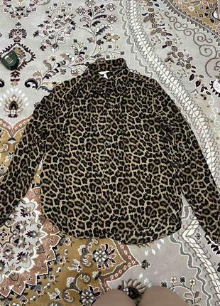 Блузка жіноча