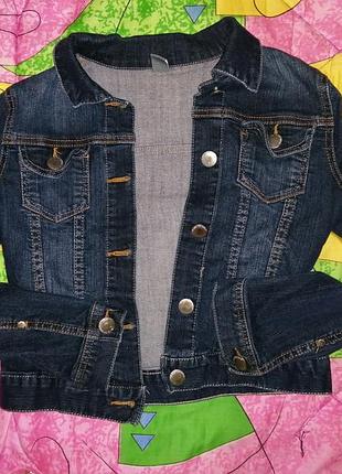 Джинсовка zara kids 4