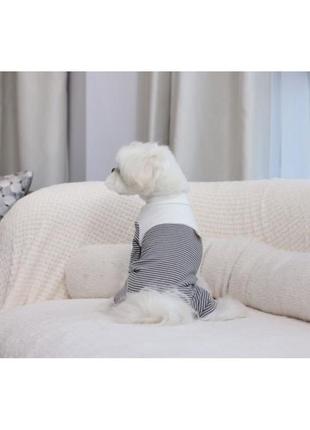 Трикотажний костюм для собак cheepet у смужку, білий3 фото