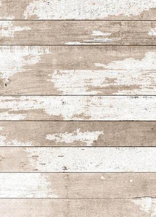 Вініловий фотофон 90x60см, frontlit 450 г/м2 №56584