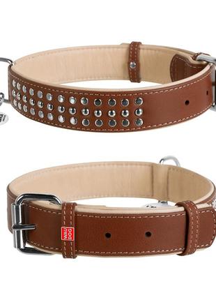 Нашийник для собак шкіряний waudog soft з qr паспортом, металічні прикраси, ш 35 мм, дов 46-60 см коричневий