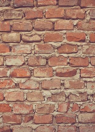 Виниловый фотофон 60x60см, frontlit 450 г/м2 №550253