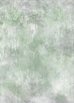 Вініловий фотофон 90x60см, frontlit 450 г/м2 №56351