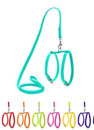 Шлея з повідцем для собак шкіряна waudog glamour з qr паспортом,  ш 12 мм, а 25-33 см, в 35-43 см ментоловий