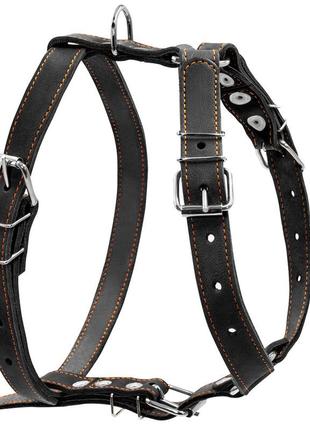 Шлея "collar" одинарна для середніх собак (ширина 25мм, а:49-68см, в:68-80см) чорний