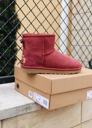 Уги ugg mini cherry угги1 фото