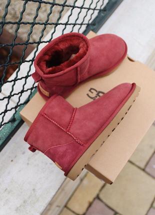 Угі ugg mini cherry уггі5 фото
