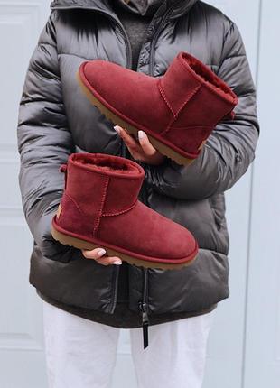 Уги ugg mini cherry угги9 фото