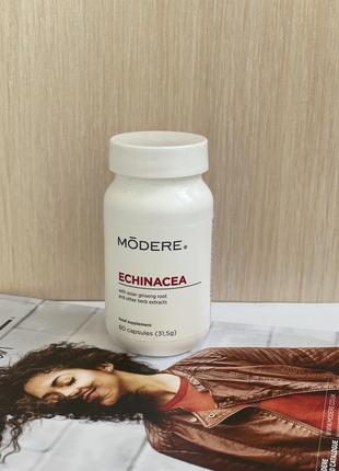 Эхинацея модере для повышения иммунитета-echinacea modere