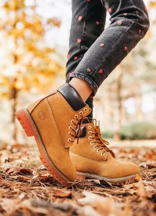 Ботинки  тімберленд, timberland ginger brown