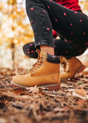 Ботинки  тімберленд, timberland ginger brown2 фото