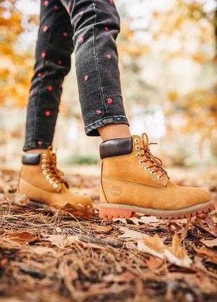 Ботинки  тімберленд, timberland ginger brown3 фото