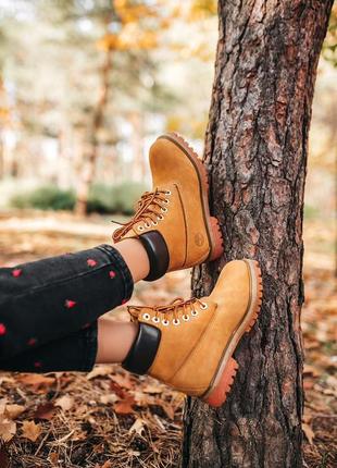 Ботинки  тімберленд, timberland ginger brown5 фото