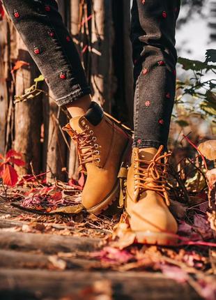 Ботинки  тімберленд, timberland ginger brown7 фото