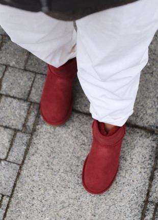 Угги мини ugg mini cherry8 фото