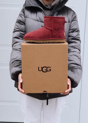 Угги мини ugg mini cherry5 фото