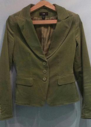 Пиджак