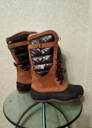 Чоботи жіночі