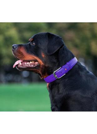 Нашийник для собак шкіряний waudog glamour з qr паспортом, без прикрас, ш 25 мм, дов 38-49 см фіолетовий7 фото