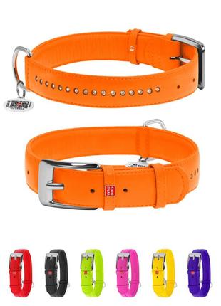 Нашийник для собак шкіряний waudog glamour з qr паспортом, подвійний зі стразами, ш 35 мм, дов 46-60 см