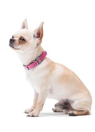 Нашийник для собак шкіряний waudog classic, ш 12 мм, дов 19-25 см рожевий5 фото