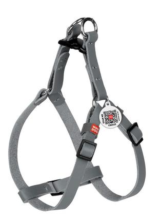 Шлея котів та дрібних собак шкіряна waudog classic з qr паспортом, пластиковий фастекс, xs, ш 10 мм, в=с 28-40