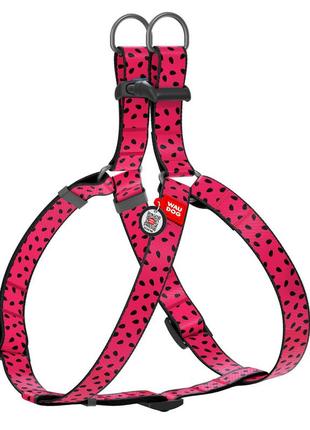 Шлея для собак waudog nylon з qr паспортом, малюнок "кавун", пластиковий фастекс, ш 15 мм, дов 40-55 см,