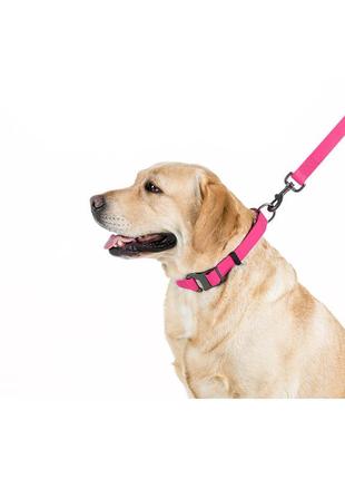 Повідець для собак водостійкий waudog waterproof, s, ш 15 мм, дов 122 см рожевий4 фото