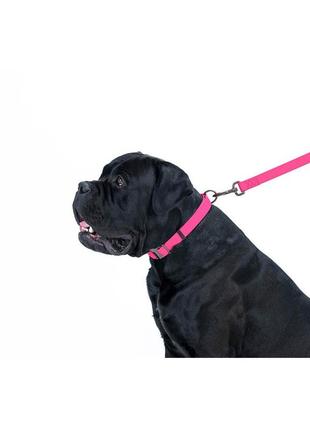 Повідець для собак водостійкий waudog waterproof, s, ш 15 мм, дов 122 см рожевий5 фото