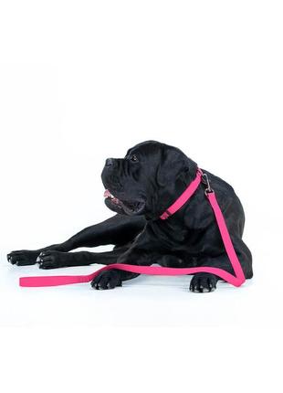 Повідець для собак водостійкий waudog waterproof, s, ш 15 мм, дов 122 см рожевий6 фото