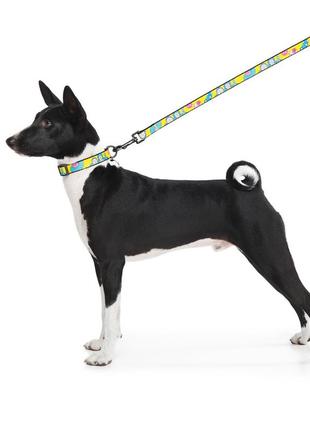 Повідець для собак нейлоновий waudog nylon, малюнок "рік та морті 1", l-xxl, ш 25 мм, дл 122 см4 фото