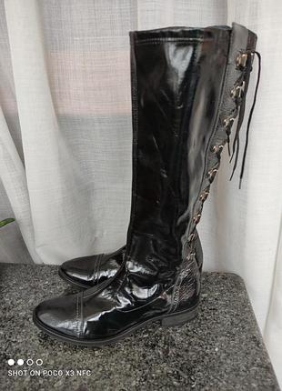 France moda чоботи панчохи демисезон