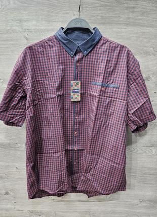 Рубашка мужская(большие размеры)чол