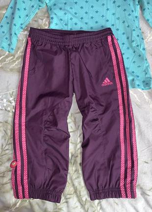 Штани оригінал adidas нові